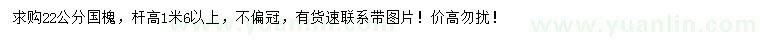 求購22公分國槐
