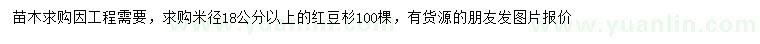 求購米徑18公分以上紅豆杉