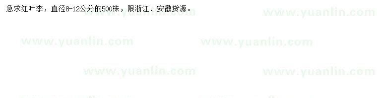 求購直徑8-12公分紅葉李