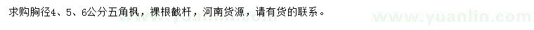 求購胸徑4、5、6公分五角楓