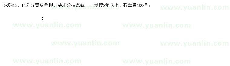 求購(gòu)12、14公分青皮垂柳