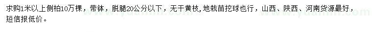求購1米以上側(cè)柏