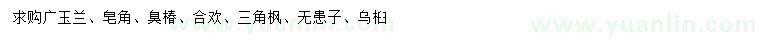 求購廣玉蘭、皂角、臭椿等