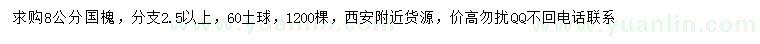 求購8公分國槐