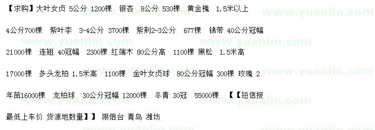 求購女貞、銀杏、黃金槐等