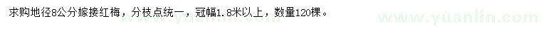 求購8公分嫁接紅梅