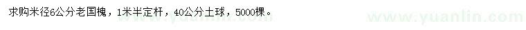 求購(gòu)6公分老國(guó)槐	
