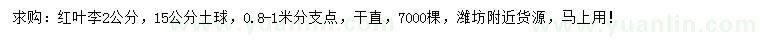 求購2公分紅葉李