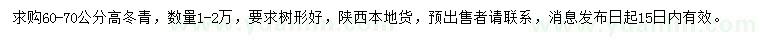 求購(gòu)60-70公分冬青