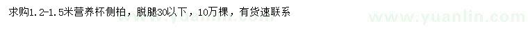 求購1.2-1.5米側(cè)柏