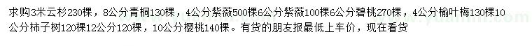 求購云杉、青桐、紫薇等