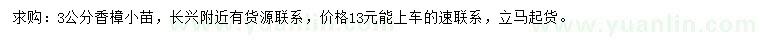 求購3公分香樟小苗