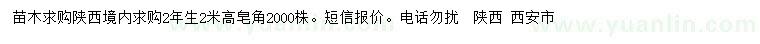 求購高2米皂角