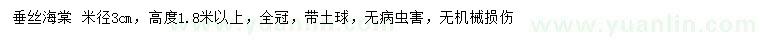求購米徑3公分垂絲海棠