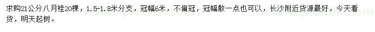 求購(gòu)21公分八月桂