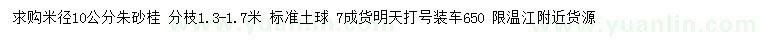 求購米徑10公分朱砂桂