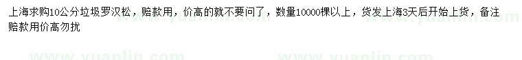 求購10公分垃圾羅漢松