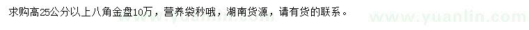 求購高25公分以上八角金盤