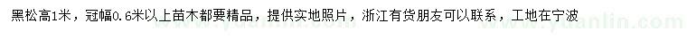 求購(gòu)高1米黑松樁