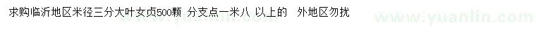 求購米徑3分大葉女貞