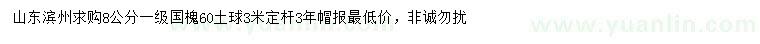 求購(gòu)8公分國(guó)槐