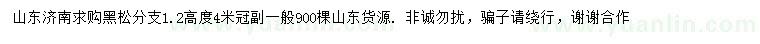 求購(gòu)高4米黑松