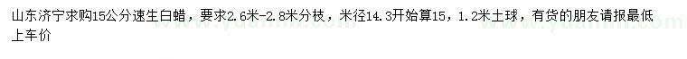 求購15公分速生白蠟