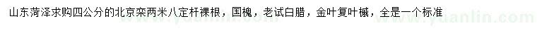 求購北京欒、國槐、老試白臘等