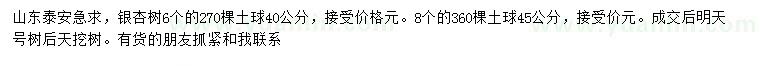 求購6、8公分銀杏