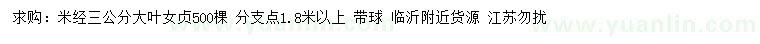 求購米徑3公分大葉女貞