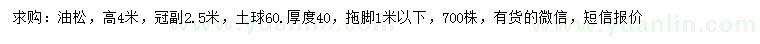 求購高4米油松