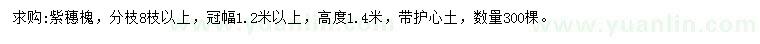 求購冠幅1.2米以上紫穗槐