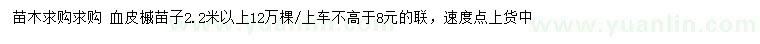 求購(gòu)2.2米以上血皮槭苗子