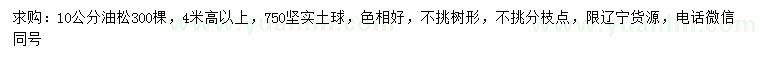 求購10公分油松