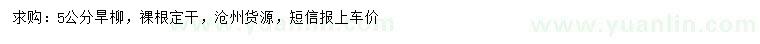 求購5公分旱柳