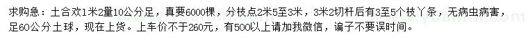 求購(gòu)1.2米量10公分土合歡