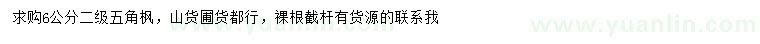 求購6公分五角楓