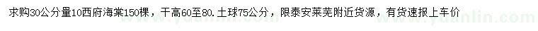 求購30公分量10公分西府海棠