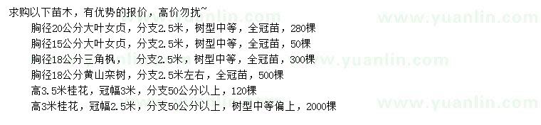 求購大葉女貞 、三角楓、黃山欒樹等