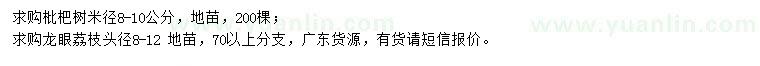 求購枇杷、龍眼、荔枝