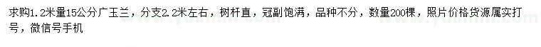 求購1.2米量15公分廣玉蘭