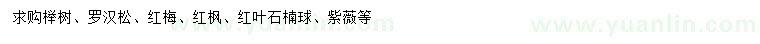 求購(gòu)櫸樹、羅漢松、紅梅等