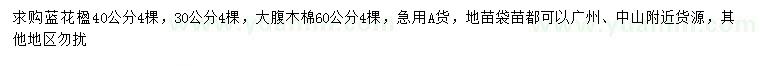 求購30、40公分藍花楹、60公分大腹木棉