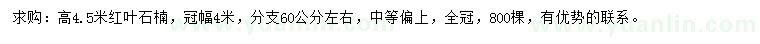 求購高4.5米紅葉石楠