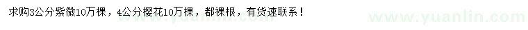 求購(gòu)3公分紫微、4公分櫻花