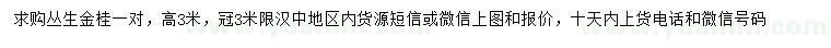 求購高3米叢生金桂