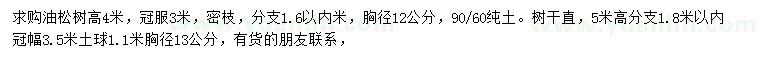 求購高4、5米油松