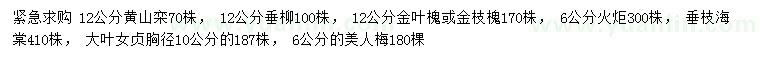 求購黃山欒、垂柳、金葉槐等