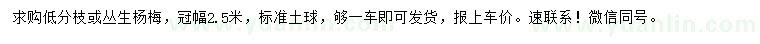 求購冠幅2.5米叢生楊梅