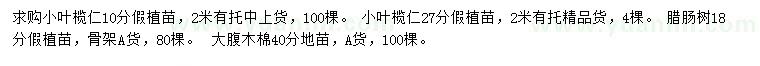 求購小葉欖仁、臘腸樹、大腹木棉